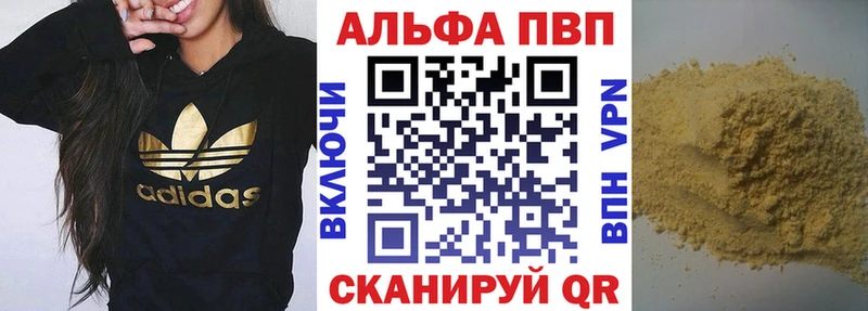 A-PVP СК  Череповец 