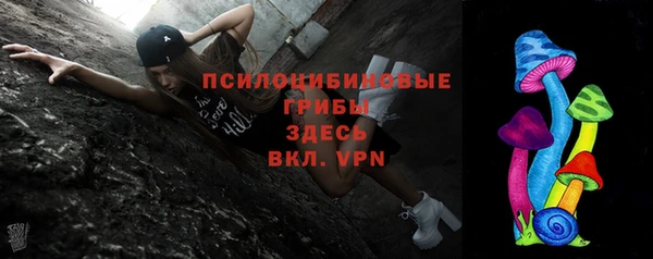 дмт Алзамай