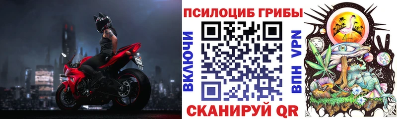 Галлюциногенные грибы Cubensis  Череповец 